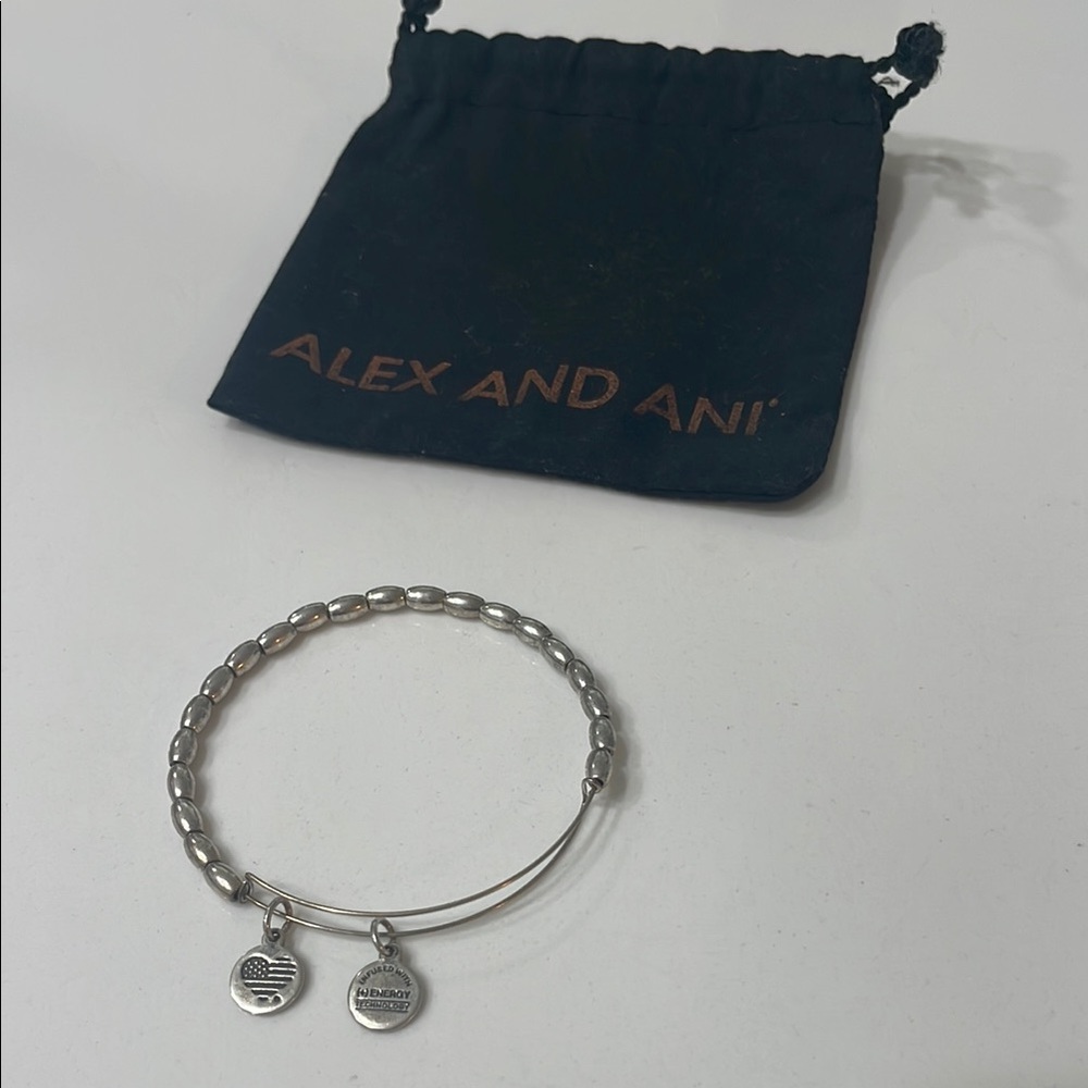 Alex and Ani Silver Rafaelian Jordan Charm Bracelet